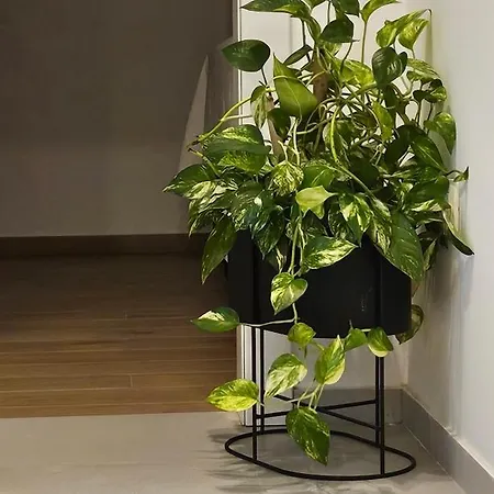 Terra Appartement *