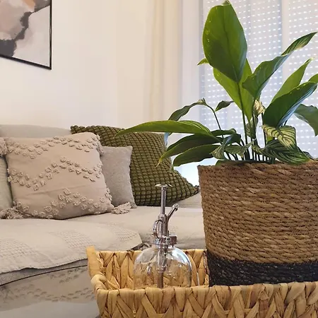 Terra Apartment *